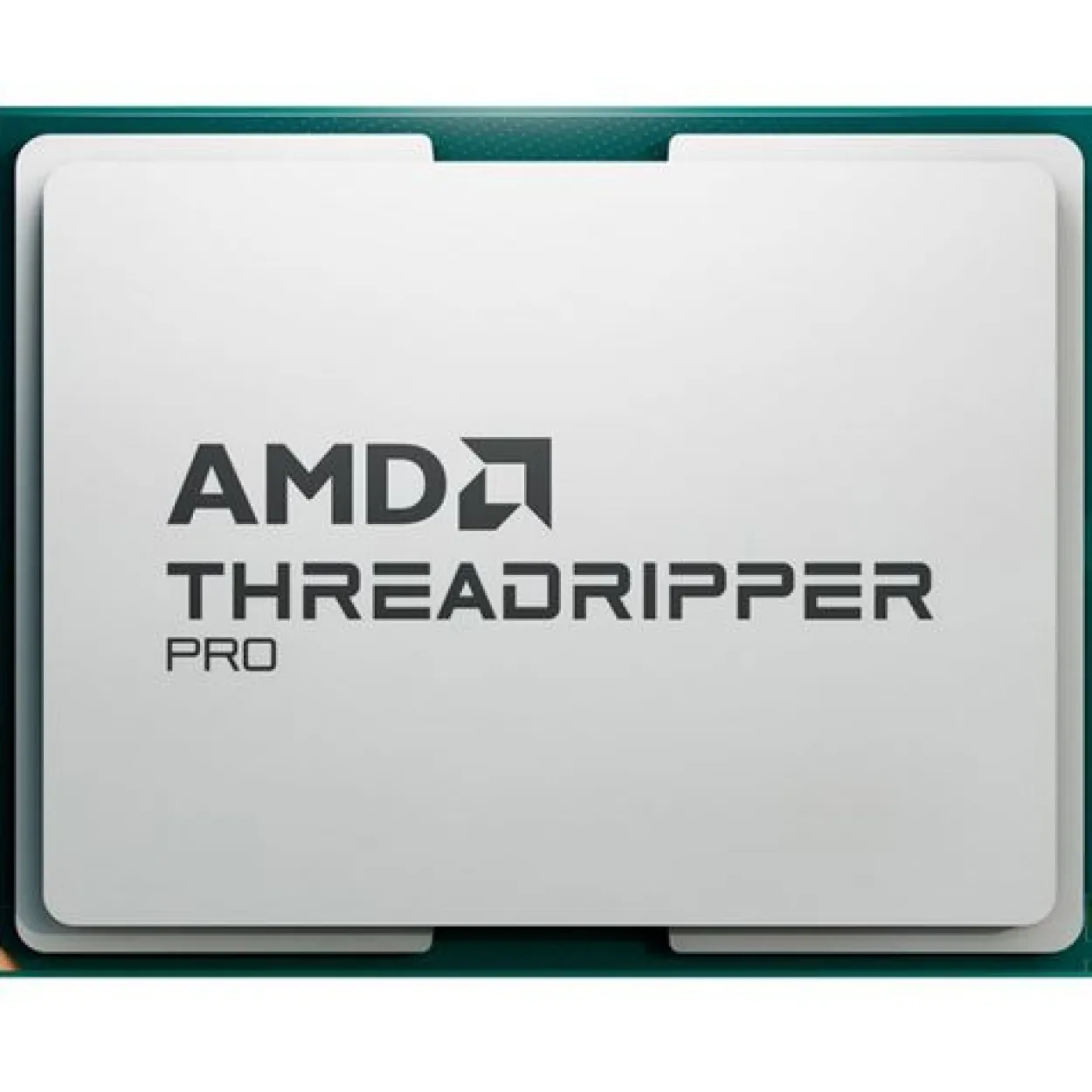 AMD Ryzen Threadripper Pro 7955WX 16x 4.50GHz So.sTR5 TRAY