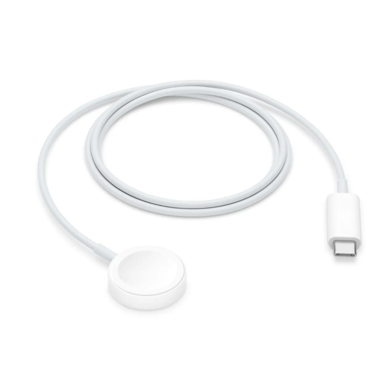 Apple magnetisches Schnellladegerät auf USB-C für Watch 1m