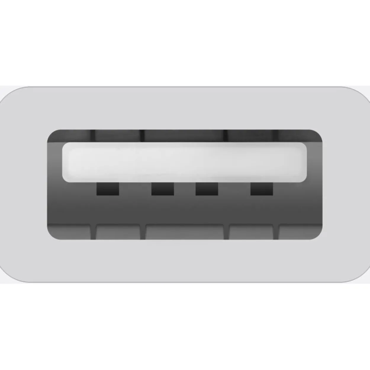 Apple USB-C auf USB-A Adapter