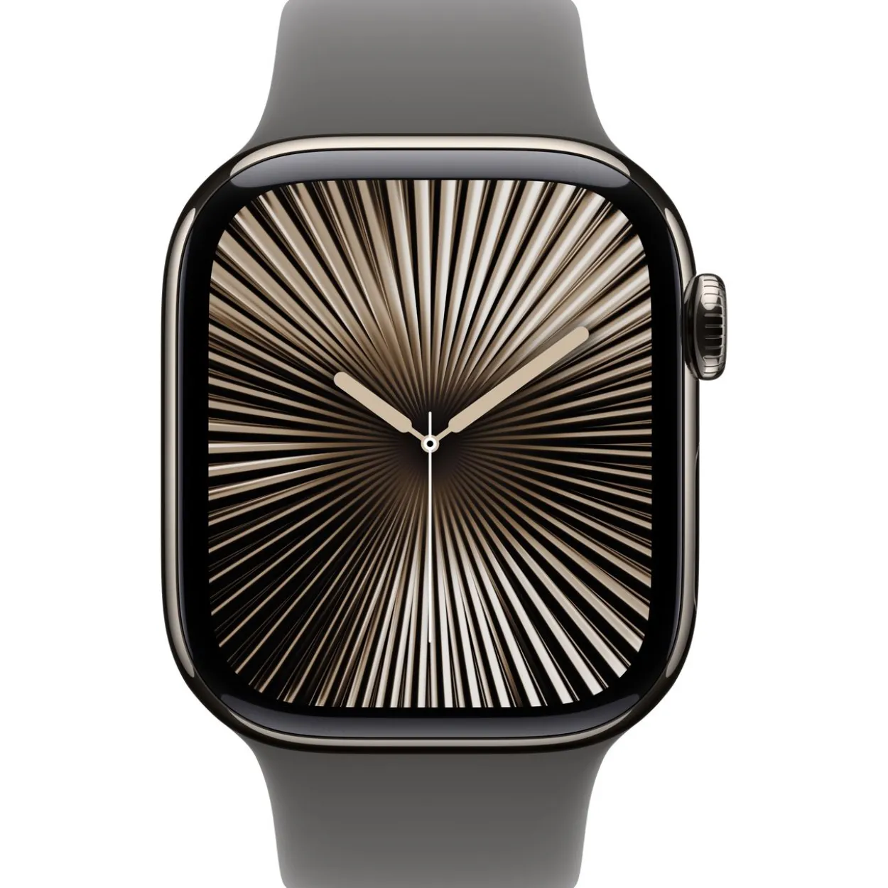 Apple Watch S10 Titan Natur Cellular 42mm (Sportarmband steingrau) M/L