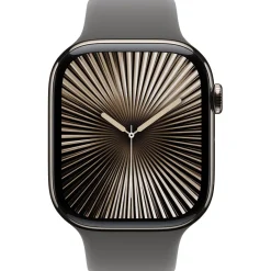 Apple Watch S10 Titan Natur Cellular 46mm (Sportarmband steingrau) S/M