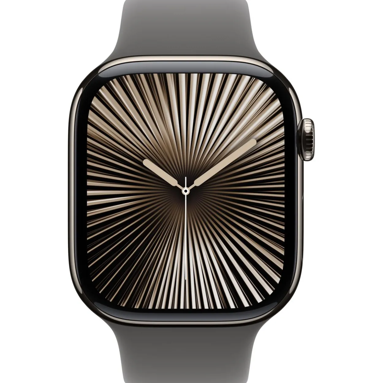 Apple Watch S10 Titan Natur Cellular 46mm (Sportarmband steingrau) S/M