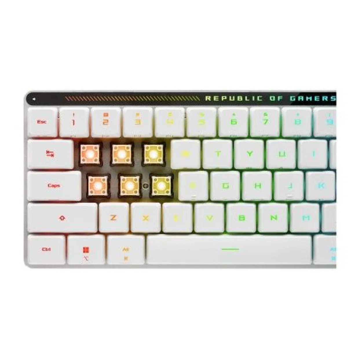 Asus ROG Falchion RX Low Profile ASUS ROG RX Red USB und Bluetooth Deutsch weiß (kabellos)