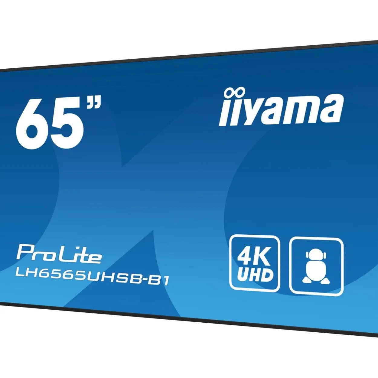 64,5" (163,90cm) iiyama ProLite LH6565UHSB-B1 schwarz 3840x2160 1x DisplayPort 1.2 / 2xHDMI 2.0
