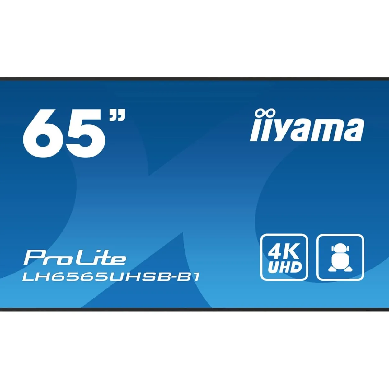 64,5" (163,90cm) iiyama ProLite LH6565UHSB-B1 schwarz 3840x2160 1x DisplayPort 1.2 / 2xHDMI 2.0