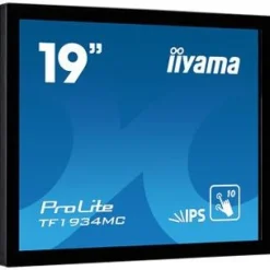 19