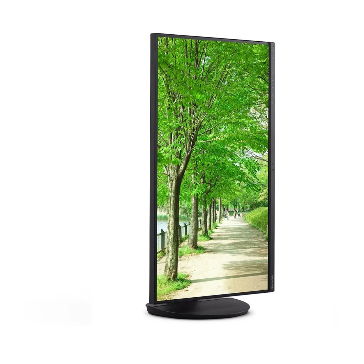 27" (68,58cm) Sharp MultiSync EA272Q Enterprise schwarz 2560x1440 1xHDMI / 1x USB-C mit Displayport / 2xDisplayPort