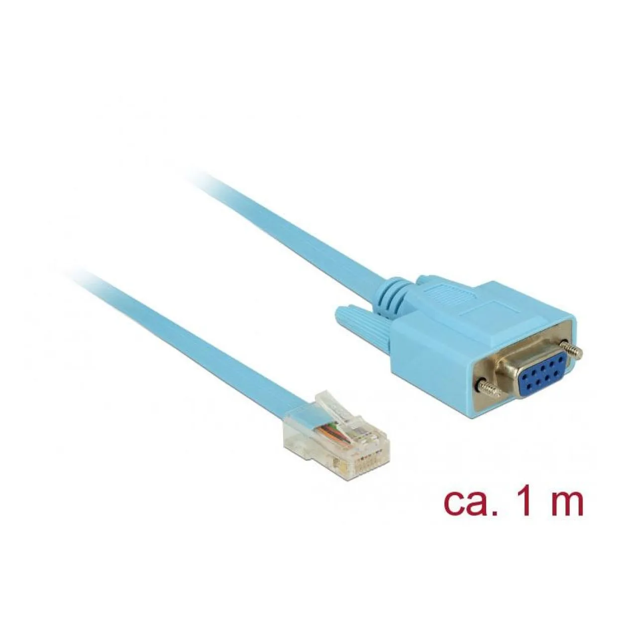 Delock Adapter RS-232 DB9 Buchse > 1 x Seriell RS-232 RJ45 Stecker 1m