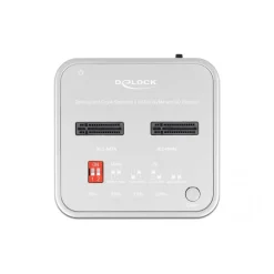 Delock Dockingstation für 1 x M.2 NVMe SSD + 1 x M.2 SATA SSD