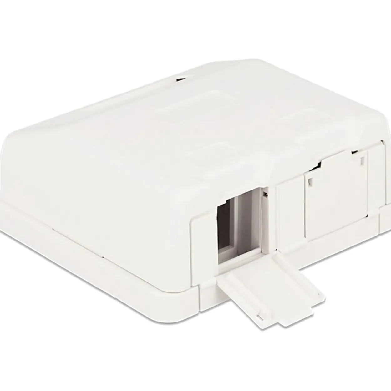 DeLOCK Keystone Leergehäuse 2 Port mit Staubschutz