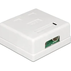DeLOCK Netzwerk Dose 2xRJ45 LSA Cat.6
