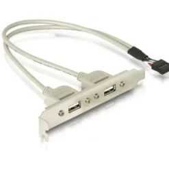 Delock Slotblech USB 5pin zu 2x USB2.0 extern