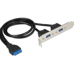 Delock Slotblech 2x USB3.0