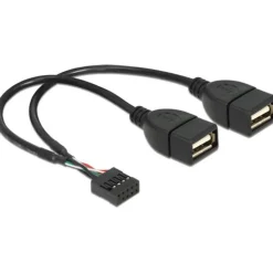Delock USB Kabel Pinheader 10Pin zu 2x A Bu/Bu 0.20m