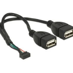 Delock USB Kabel Pinheader 10Pin -> 2x A Bu/Bu 0.15m