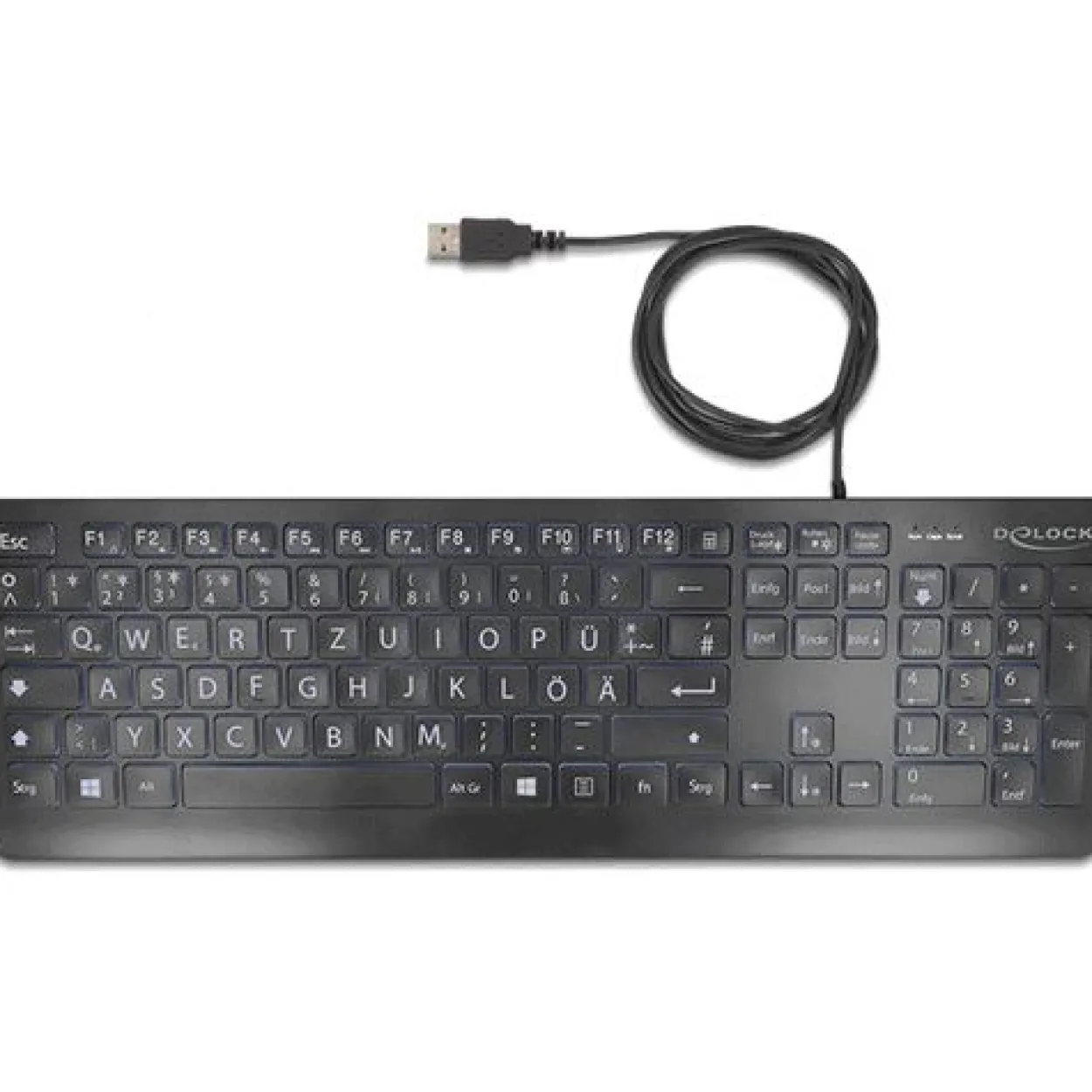 Delock USB Tastatur kabelgebunden 1,5 m schwarz mit XXL Bstb