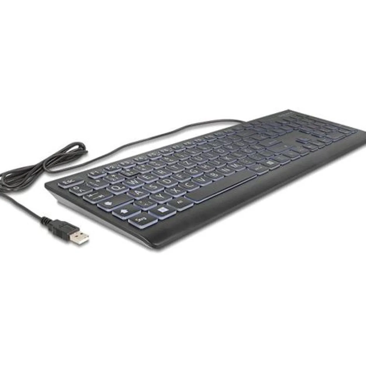Delock USB Tastatur kabelgebunden 1,5 m schwarz mit XXL Bstb