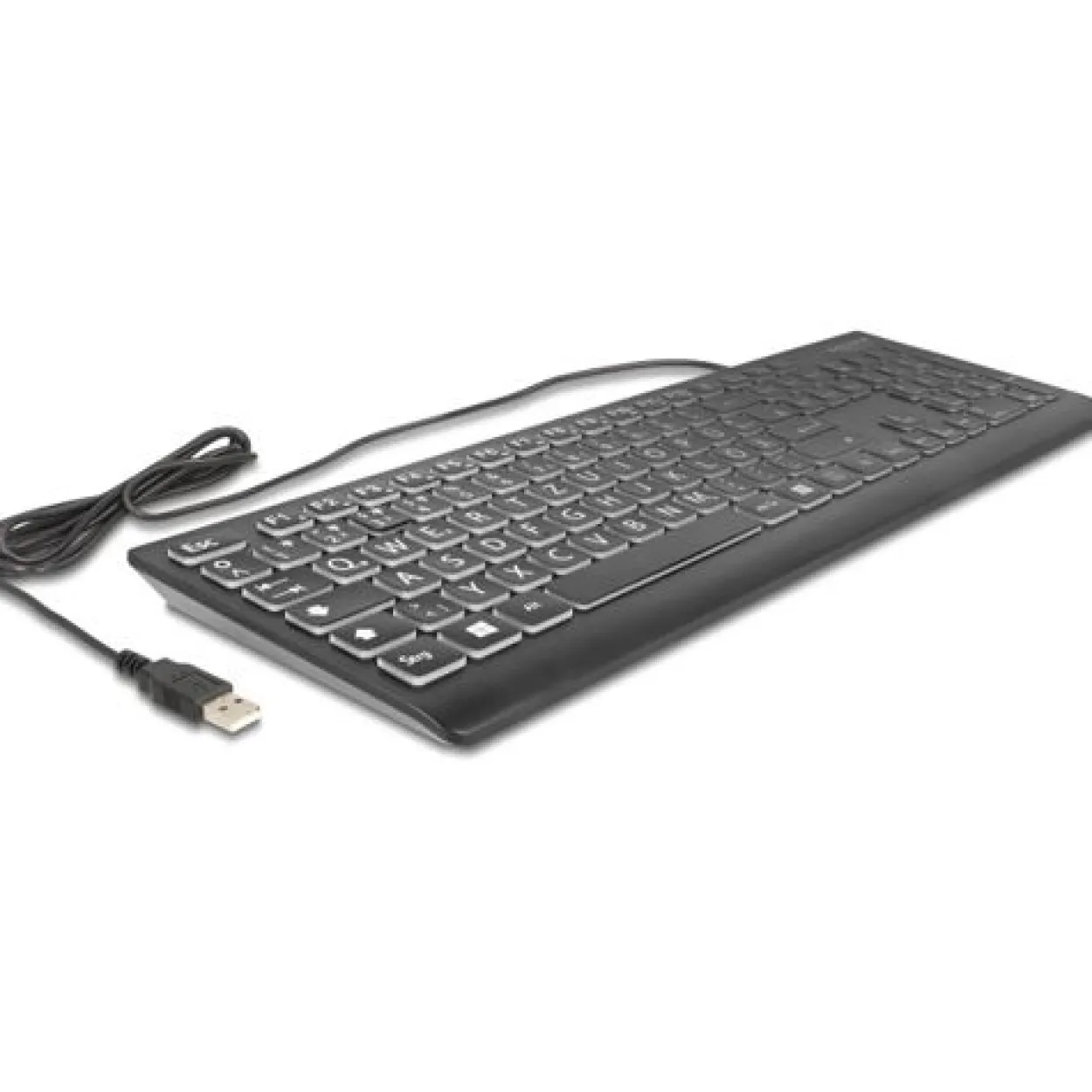 Delock USB Tastatur kabelgebunden 1,5 m schwarz mit XXL Bstb