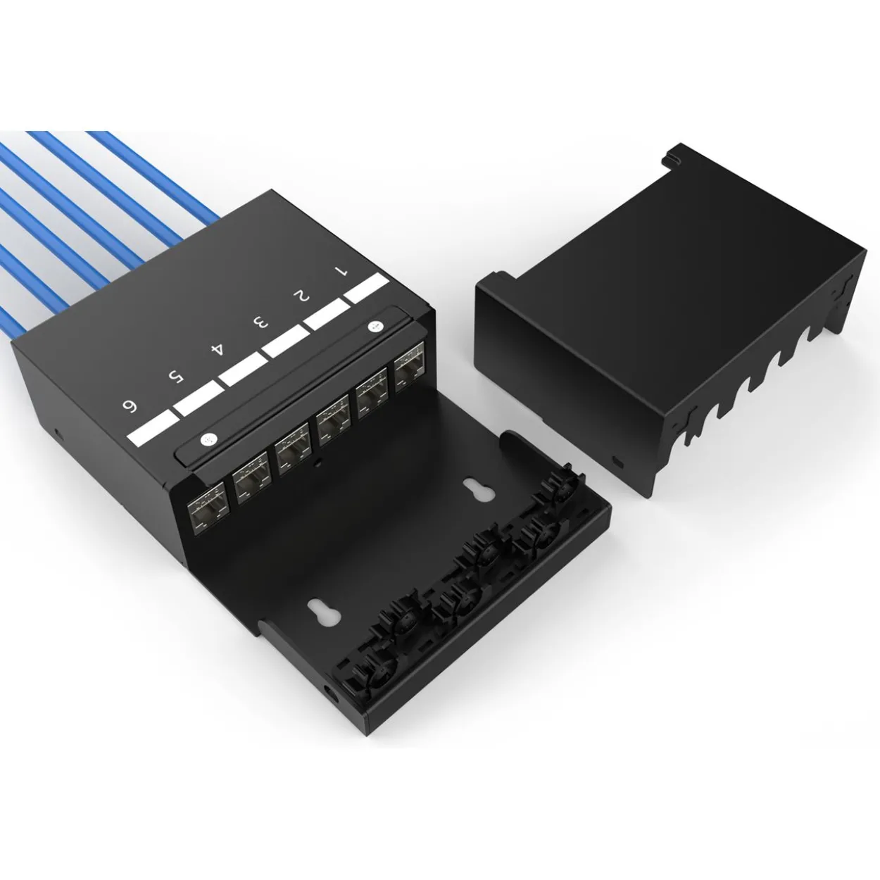 Digitus CONSOLIDATION POINT BOX 6 PORTS 6 KEYSTONE-MODULE W CABLEMANAGER