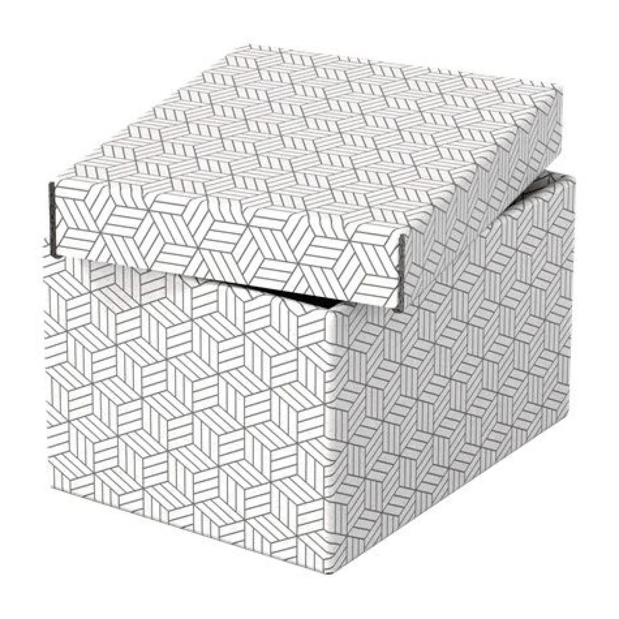 Esselte Home Aufbewahrungsboxen 6,5 l weiß 20,0 x 25,5 x 15,0 cm, 3 St.