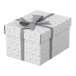 Esselte Home Aufbewahrungsboxen 6,5 l weiß 20,0 x 25,5 x 15,0 cm, 3 St.