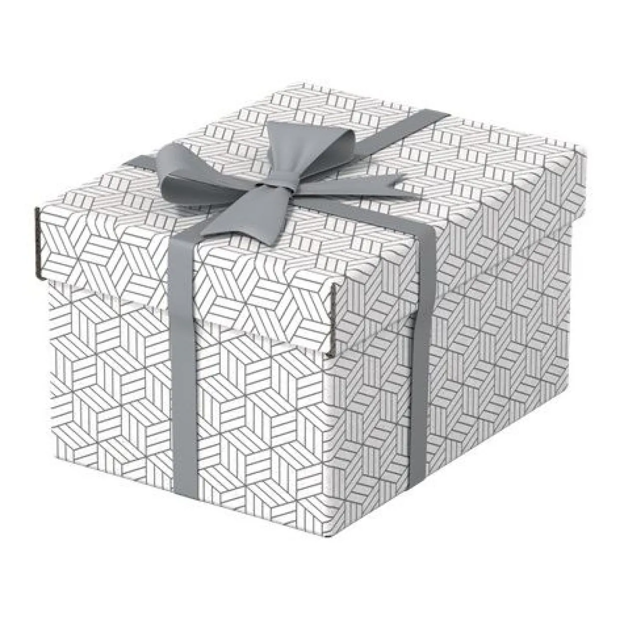 Esselte Home Aufbewahrungsboxen 6,5 l weiß 20,0 x 25,5 x 15,0 cm, 3 St.