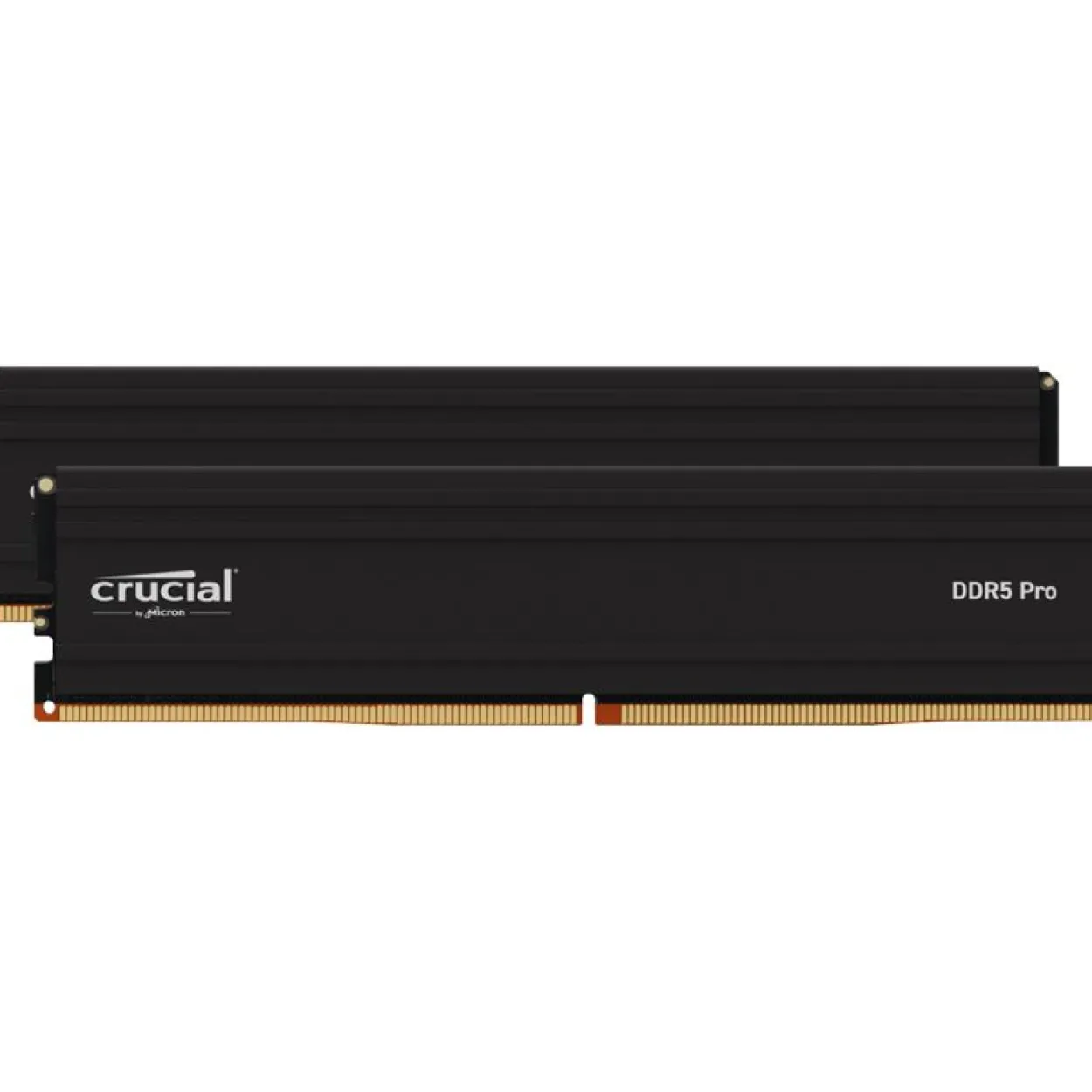 32GB Crucial Pro DDR5-5600 DIMM CL46 Dual Kit