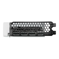 8GB Palit GeForce RTX 5060 White OC Aktiv PCIe 5.0 x16 (x8) (Retail)