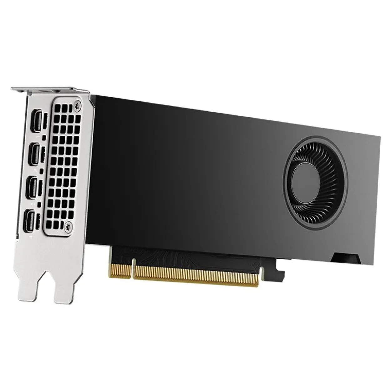 16GB PNY RTX 2000 Ada Generation Aktiv PCIe 4.0 x16 (x8) (Retail)