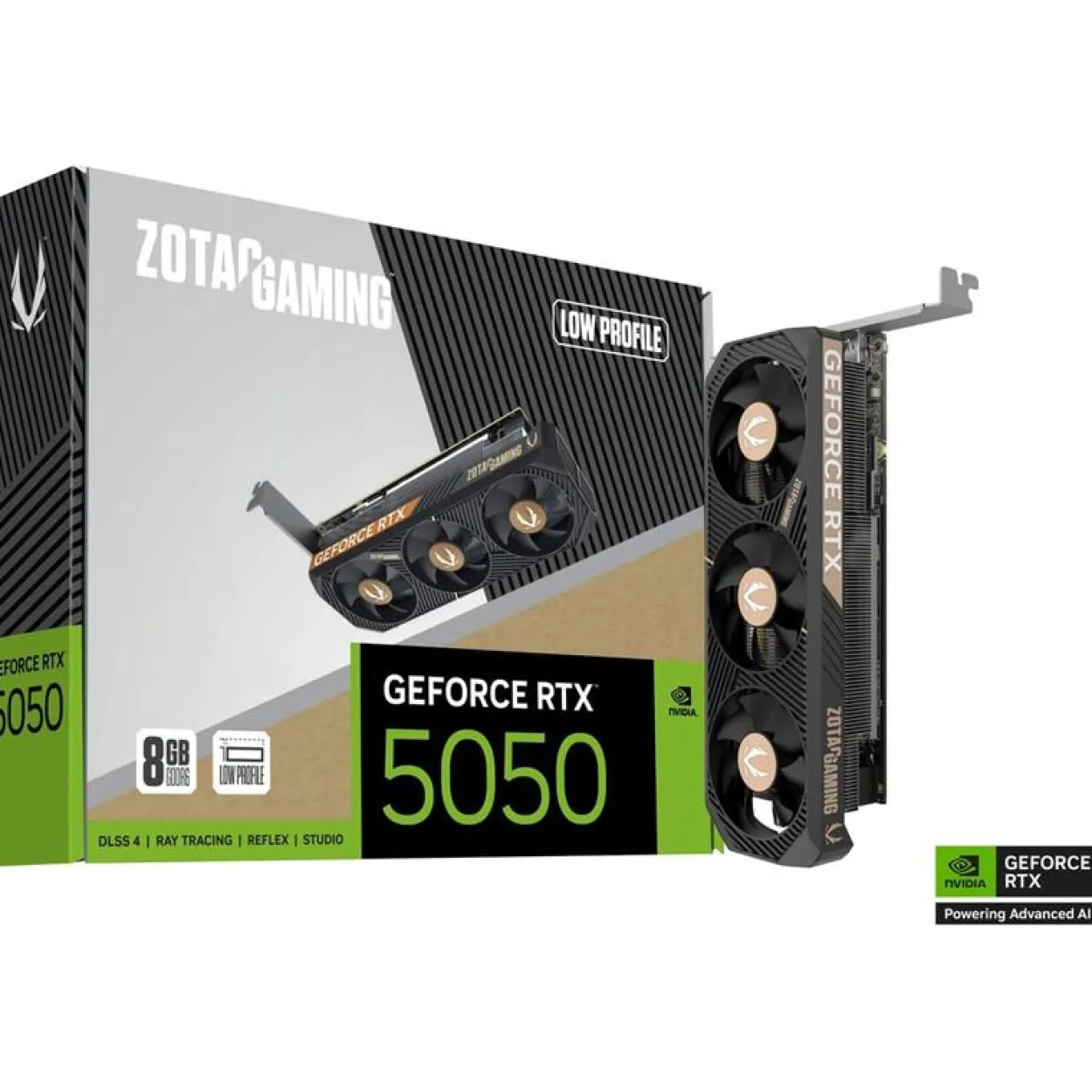 8GB ZOTAC GeForce RTX 5050 Low Profile Aktiv PCIe 5.0 x16 (x8) (Retail)