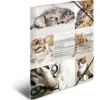 HERMA Eckspannermappe "Katzen", aus Karton, DIN A4