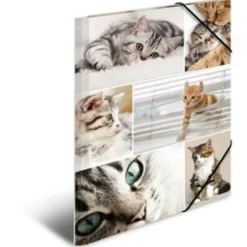 HERMA Eckspannermappe "Katzen", aus Karton, DIN A4