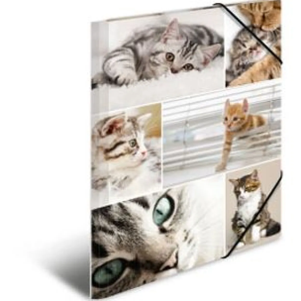 HERMA Eckspannermappe "Katzen", aus Karton, DIN A4