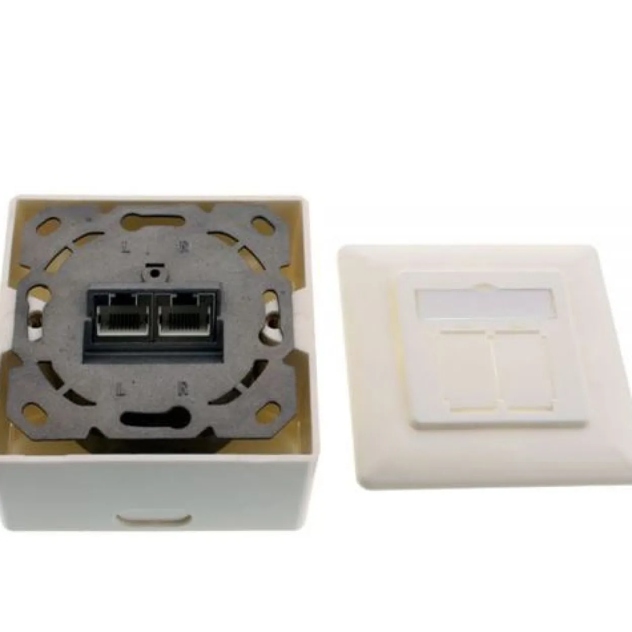 InLine Cat.6A Anschlussdose AP/UP 2x RJ45 Buchse RAL9010 weiß senkrecht