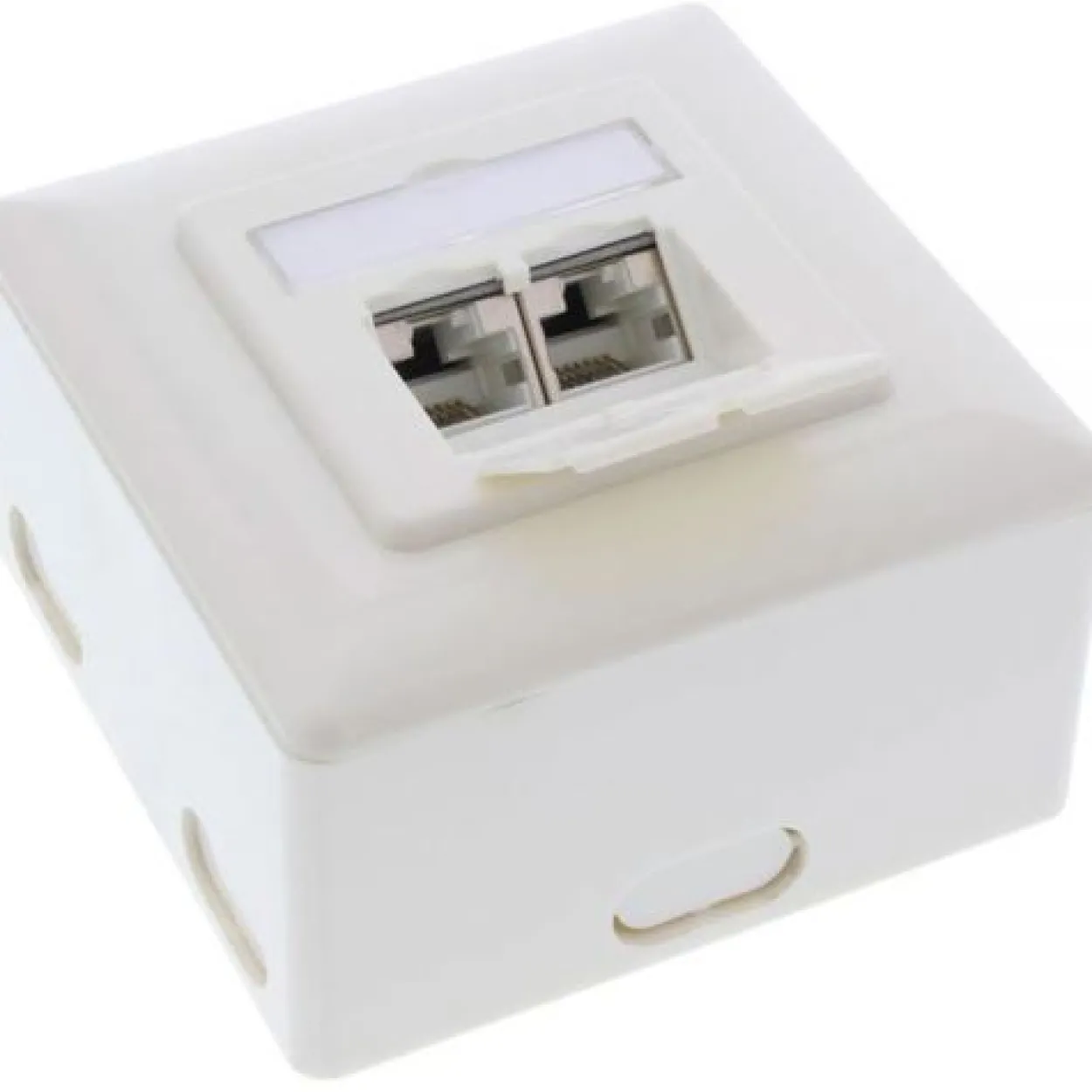 InLine Cat.6A Anschlussdose AP/UP 2x RJ45 Buchse RAL9010 weiß senkrecht