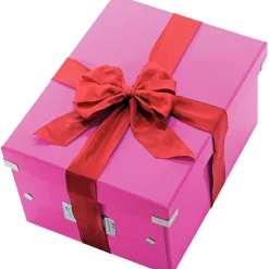 LEITZ Click & Store Aufbewahrungsbox 16,7 l pink 28,1 x 36,9 x 20,0 cm