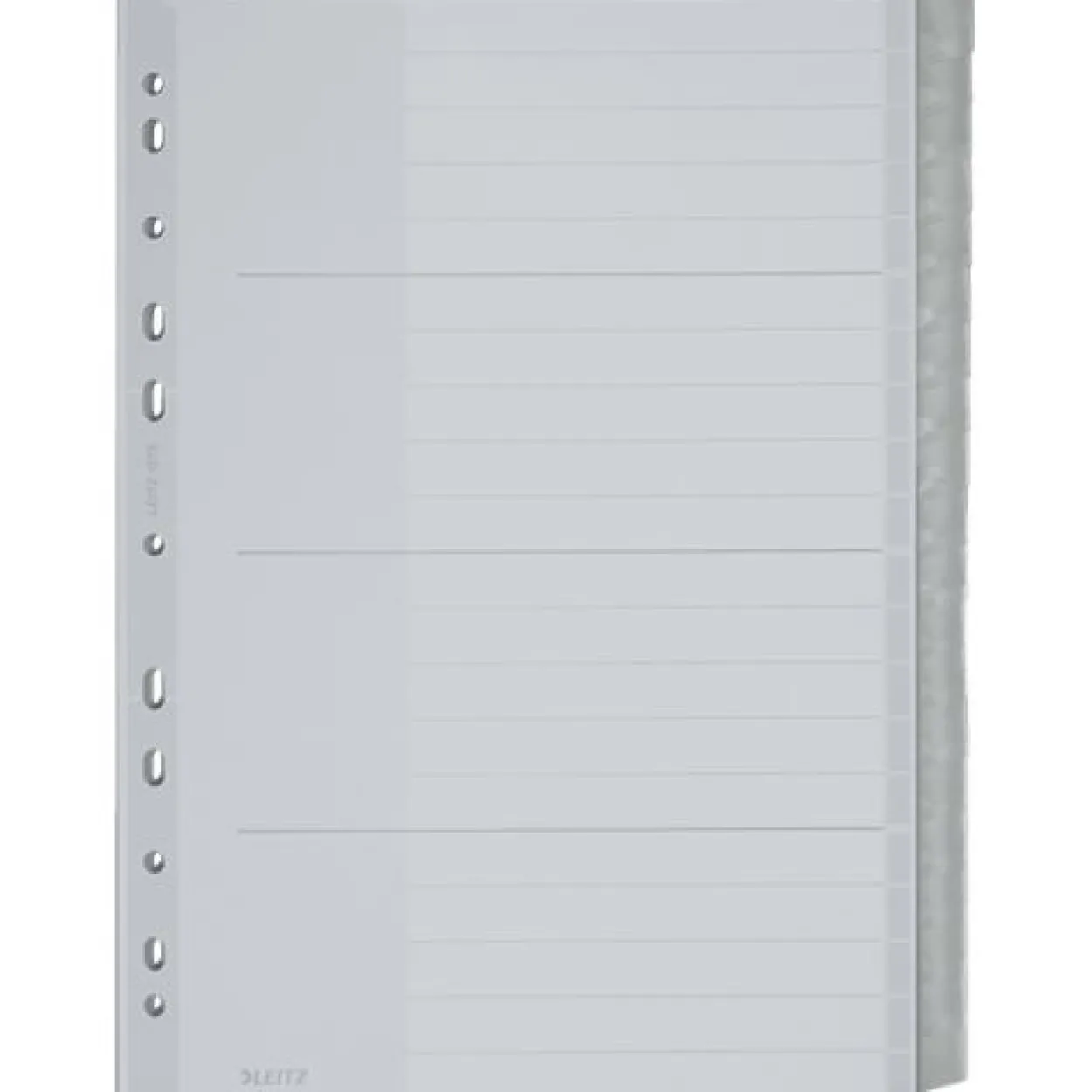 LEITZ Kunststoff-Register, blanko, A4 Überbreite, 20-teilig