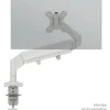 LEITZ Monitor-Halterung Ergo 64890085 lichtgrau für 1 Monitor, Tischklemme