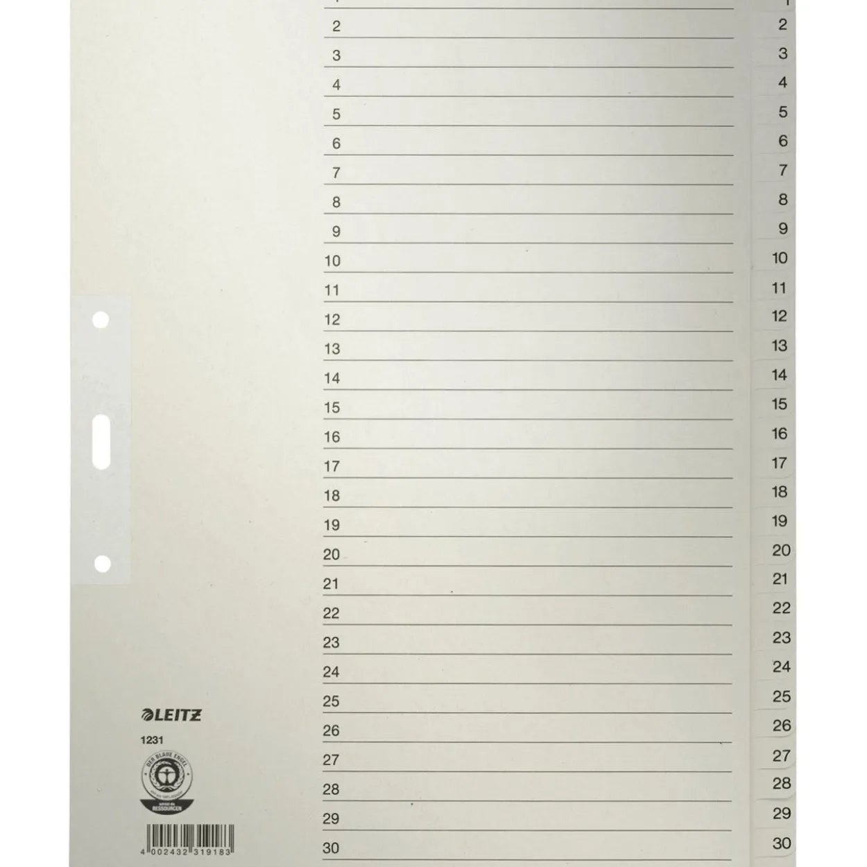 LEITZ Ordnerregister 1231 Vollformat, Überbreite 1-31 grau 31-teilig, 10 Satz