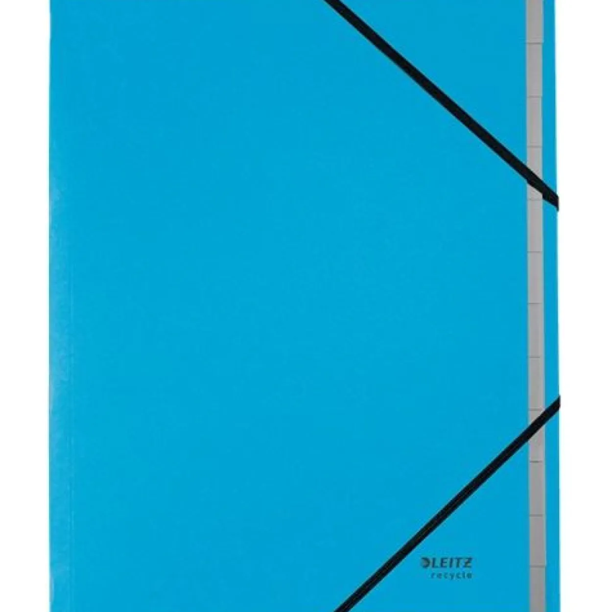 LEITZ Ordnungsmappe recycle 3915 12 Fächer blau