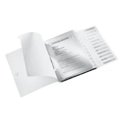 LEITZ Ordnungsmappe WOW 4634 12 Fächer schwarz