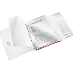 LEITZ Ordnungsmappe WOW 4634 12 Fächer pink