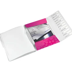 LEITZ Ordnungsmappe WOW 4634 12 Fächer pink