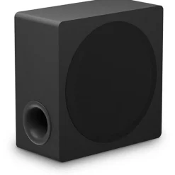 LG Electronics DS80TR (schwarz, Dolby Atmos, Bluetooth, WiFi, Rücklautsprecher)