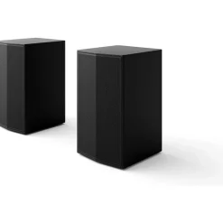 LG Electronics DS80TR (schwarz, Dolby Atmos, Bluetooth, WiFi, Rücklautsprecher)