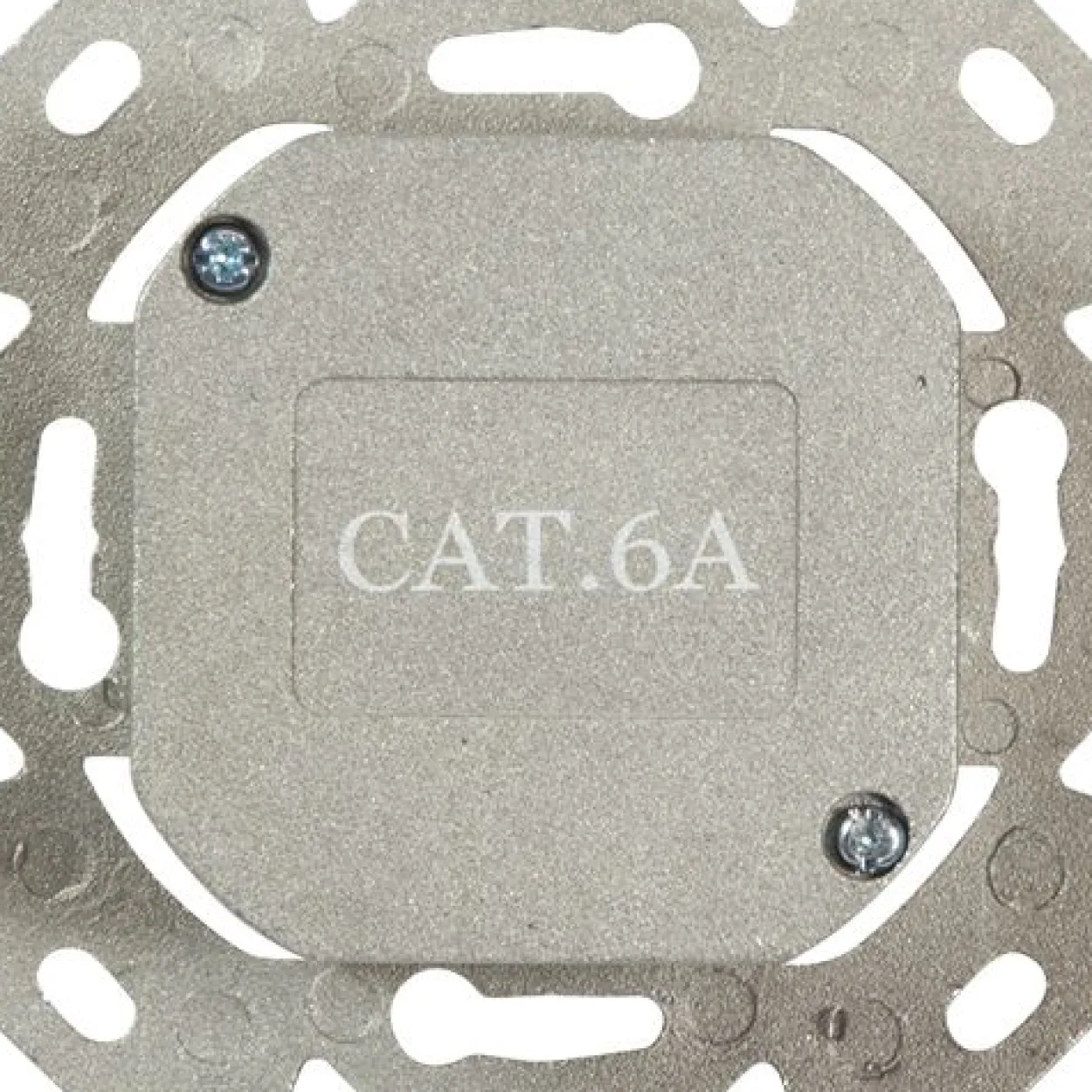 LogiLink CAT 6A Auf und Unterputzdose vollgeschirmt RAL 901