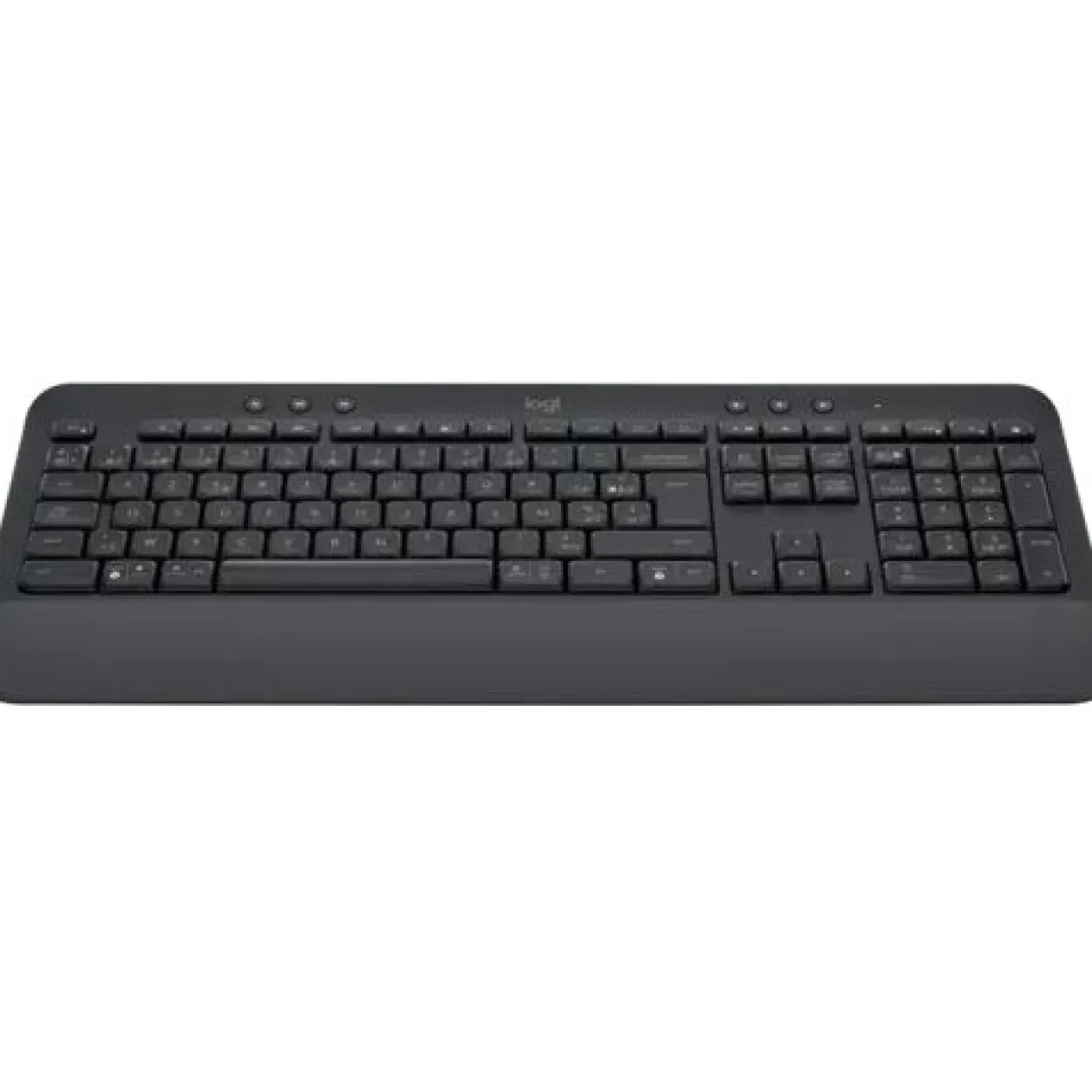 Logitech Signature K650 Comfort USB 2.4GHz Bluetooth Slowenisch Graphite (kabellos)