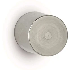 MAUL 2 Magnete silber Ø 2,0 x 2,5 cm