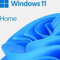 Microsoft Windows 11 Home 64Bit DSP 1pk Englisch DVD