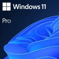 Microsoft Windows 11 Pro 64 Bit Deutsch DSP/SB